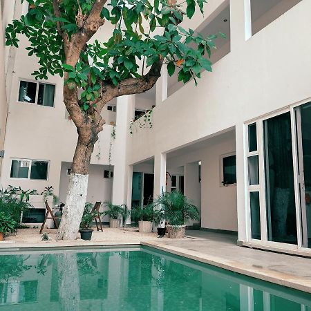 Cozy Studios Zazil-Ha Playa del Carmen Eksteriør bilde
