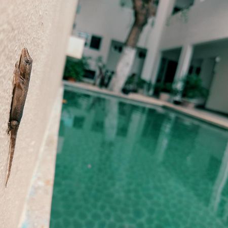 Cozy Studios Zazil-Ha Playa del Carmen Eksteriør bilde