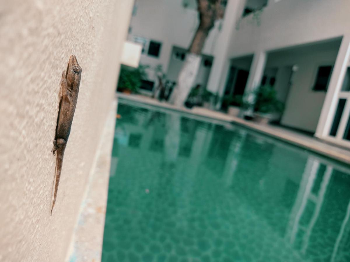 Cozy Studios Zazil-Ha Playa del Carmen Eksteriør bilde