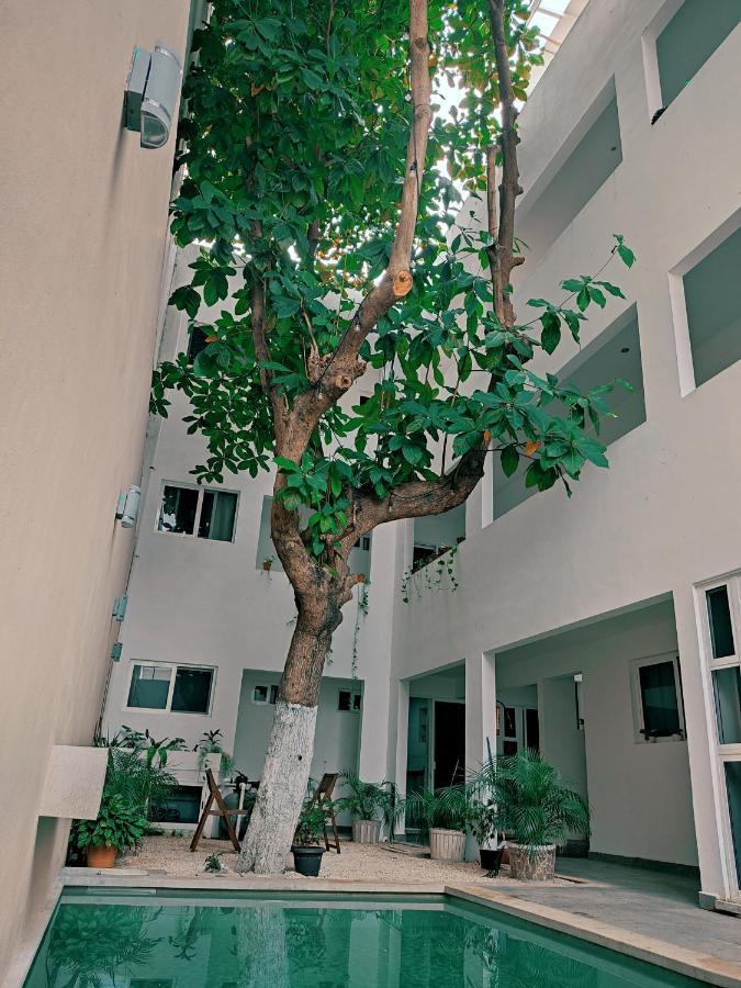 Cozy Studios Zazil-Ha Playa del Carmen Eksteriør bilde