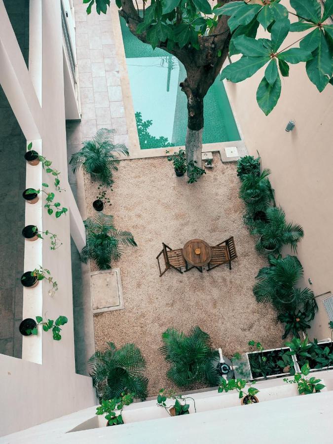 Cozy Studios Zazil-Ha Playa del Carmen Eksteriør bilde